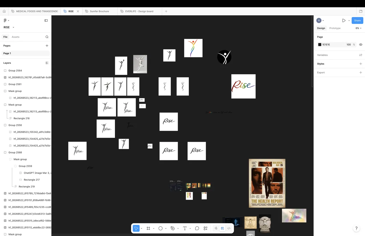 Rise - landing (webpage + logo rebuild) — image 19