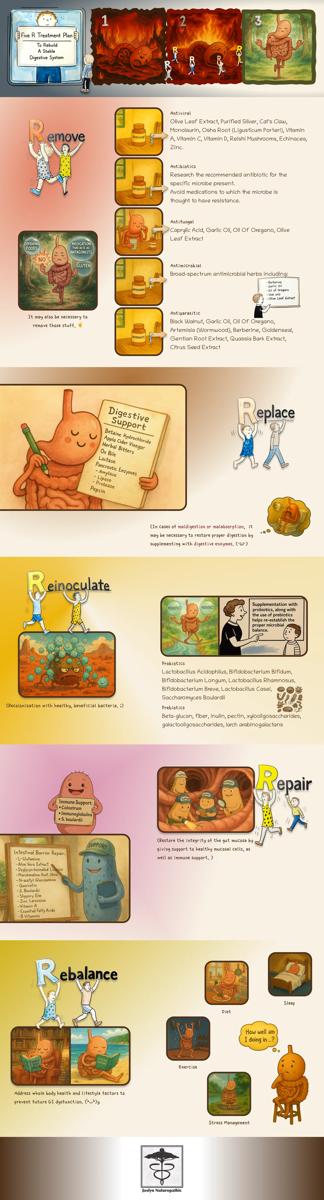 Newsletter & Infographic Design — image 3