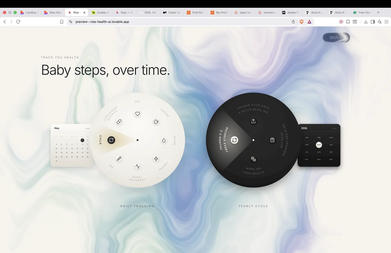 Rise - landing (webpage + logo rebuild) — image 5