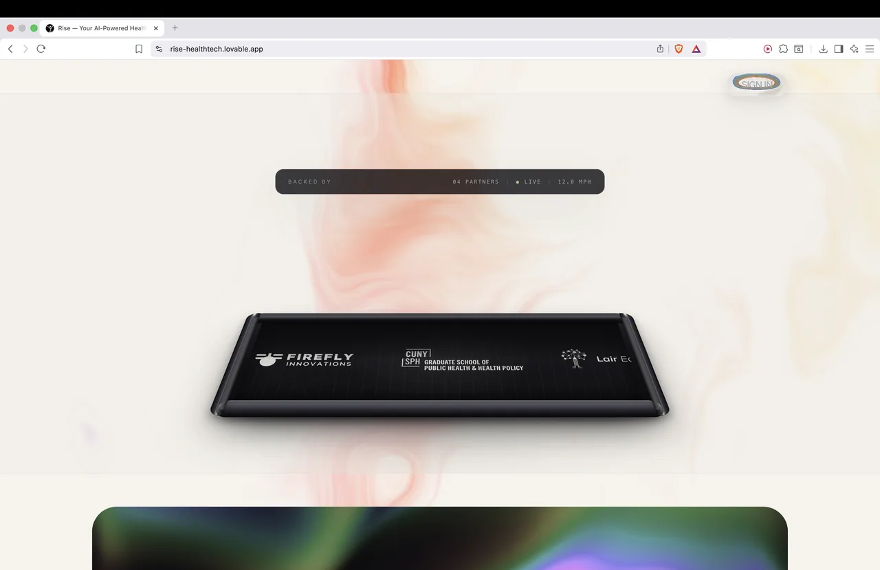 Rise - landing (webpage + logo rebuild) — image 6