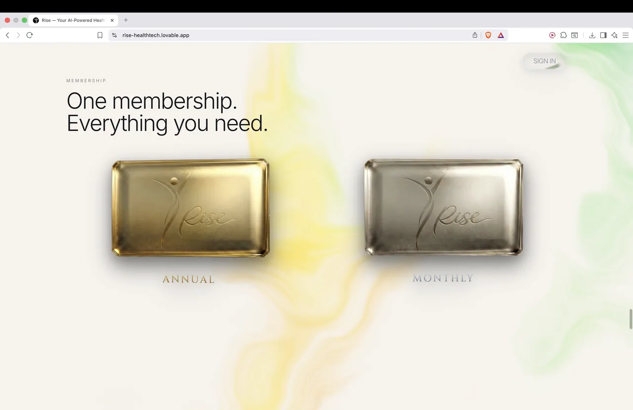 Rise - landing (webpage + logo rebuild) — image 8
