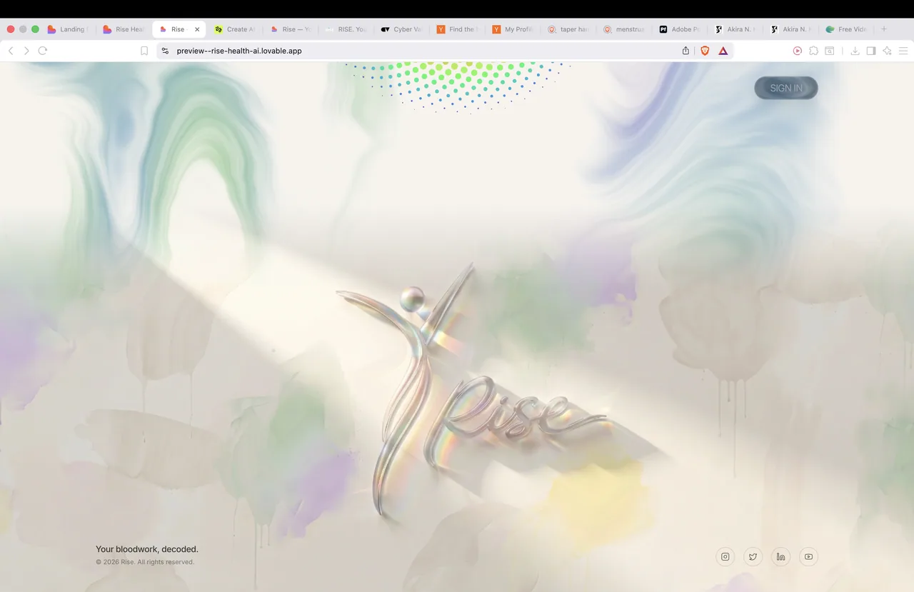 Rise - landing (webpage + logo rebuild) — image 15