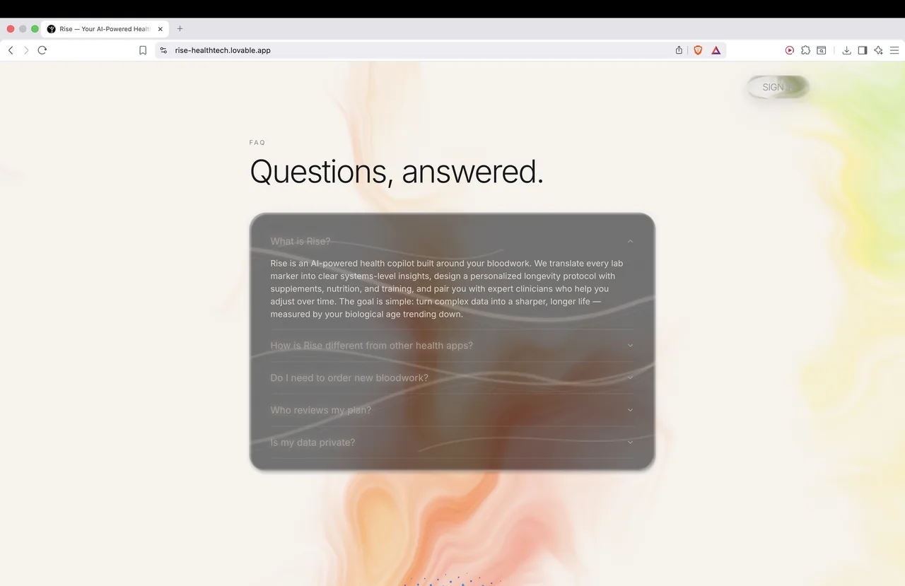 Rise - landing (webpage + logo rebuild) — image 11