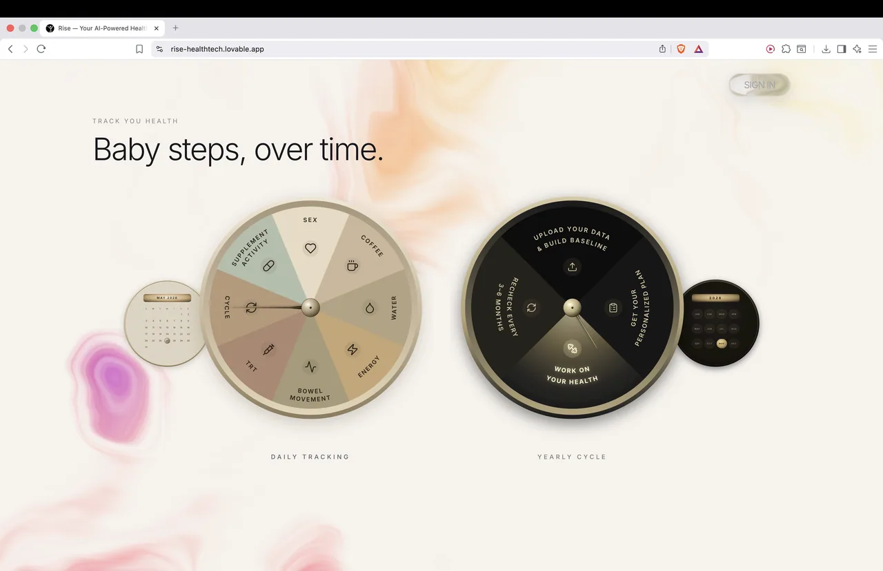 Rise - landing (webpage + logo rebuild) — image 4