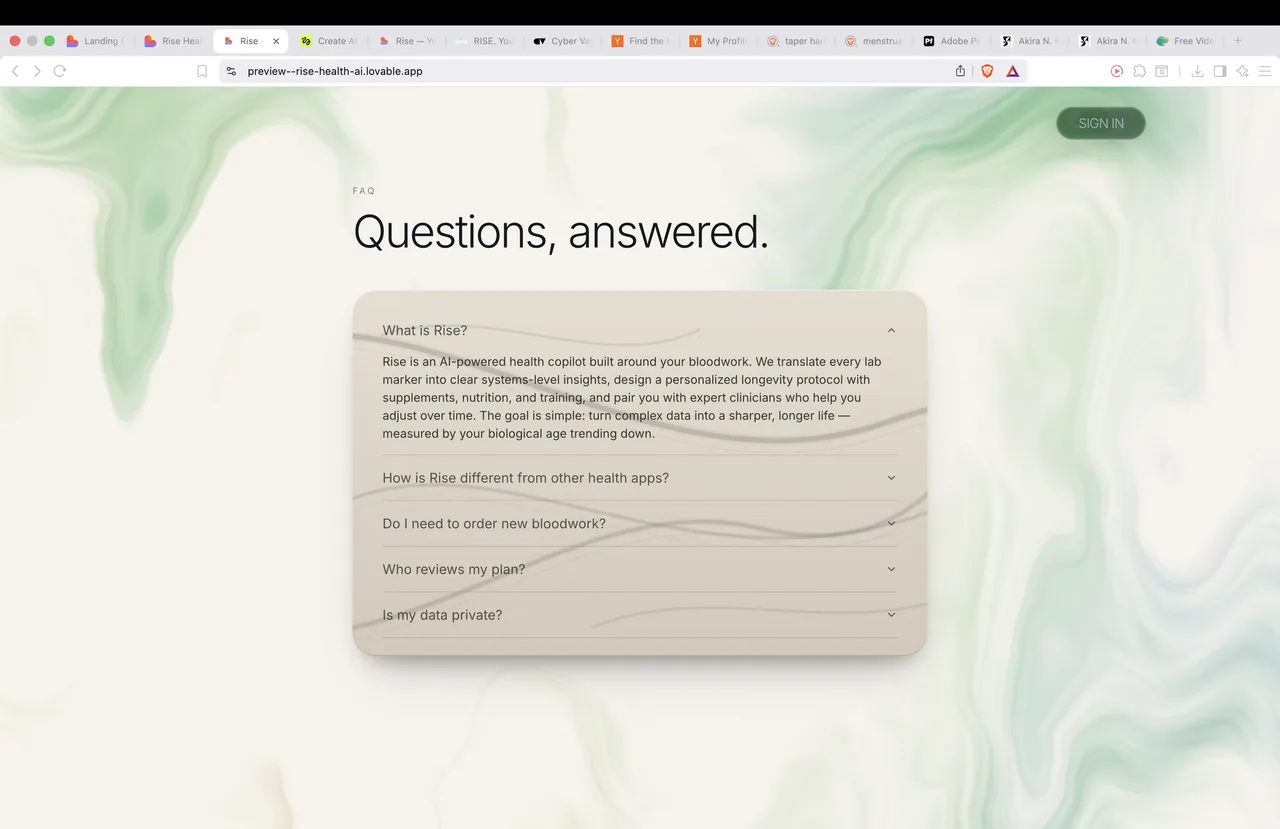 Rise - landing (webpage + logo rebuild) — image 12