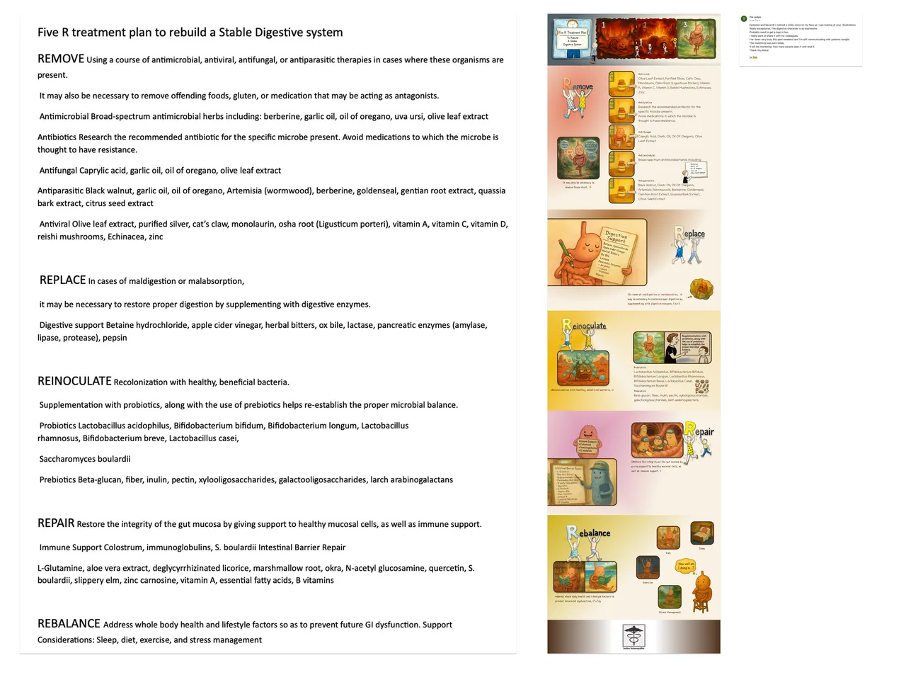 Newsletter & Infographic Design — image 4